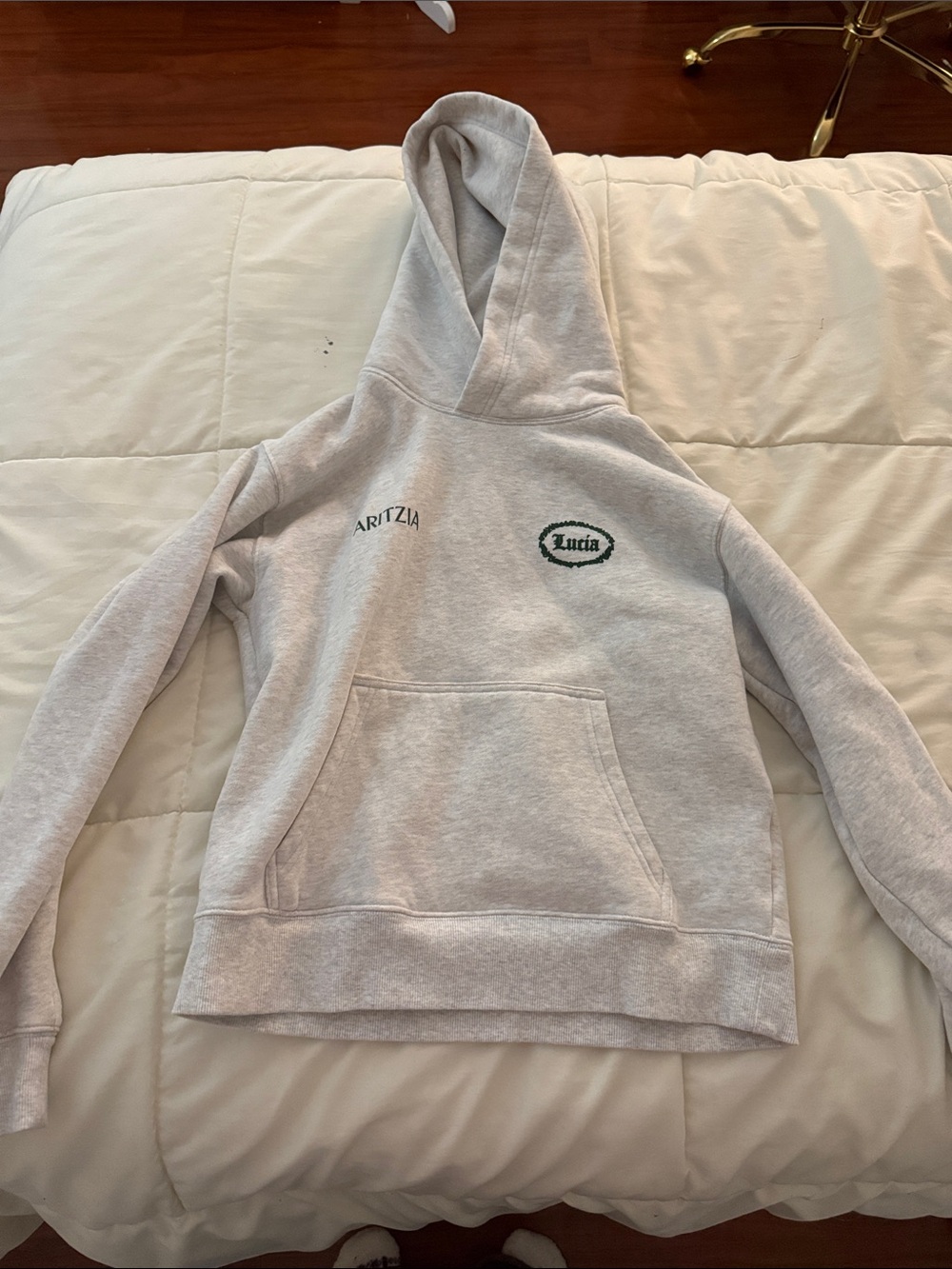 Aritzia Lucia Heather Light Gray Hooded Pullover